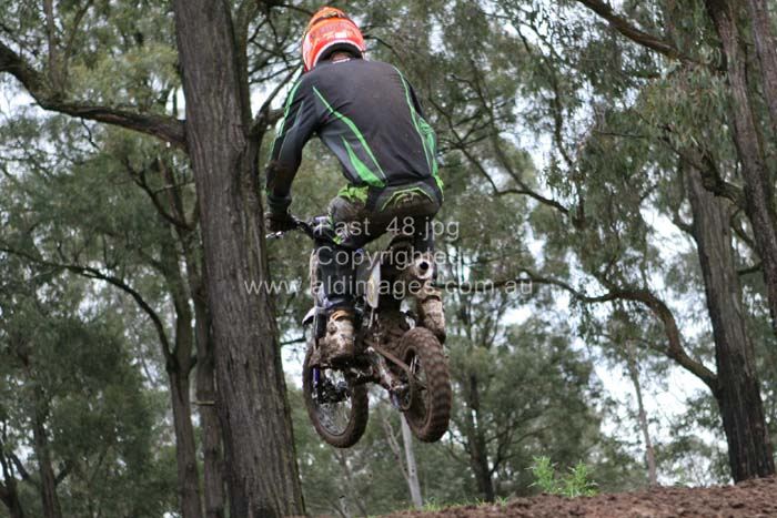 678x444 pixels (81K)